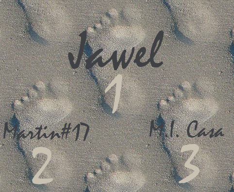 1: Jawel, 2: Martin#17, 3: M.I. Casa