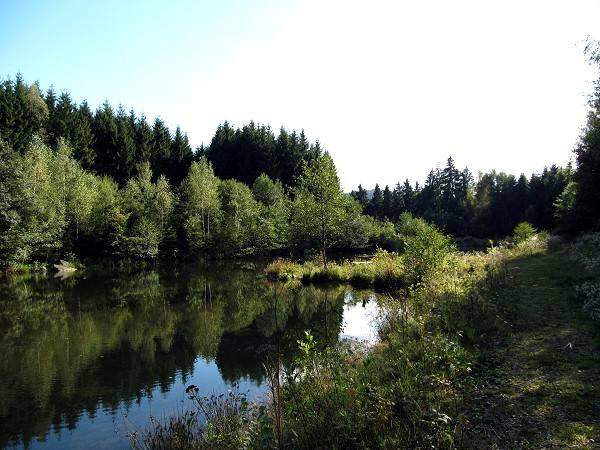 Idylle am Weiher