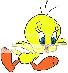 tweety bird Pictures, Images and Photos