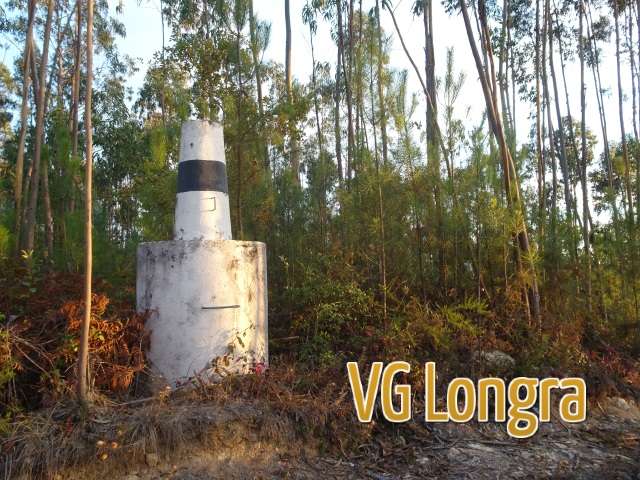 VG Longra