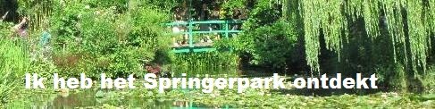 Geocache Springerpark