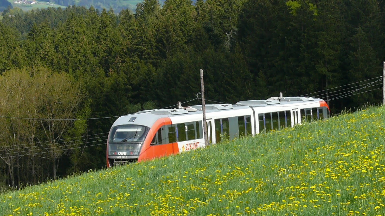 Desiro-Triebwagen auf der Mühlkreisbahn
