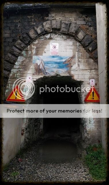 photo 1TunnelEntrance.jpg