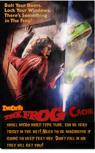 the frog cache img copy
