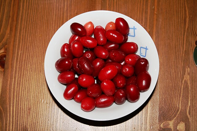 Dogberries from a market in Austrian city of Graz. Photo by Marion Schneider & Christoph Aistleitner (User: Mediocrity), October 2009, Wikimedia Commons, PD-user.