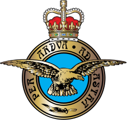 Odznak Royal Air Force
