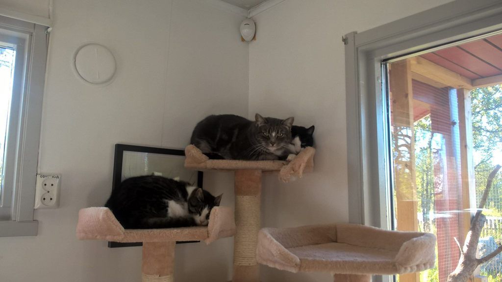  photo BonnieShenBethanie_zpscylpofgu.jpg