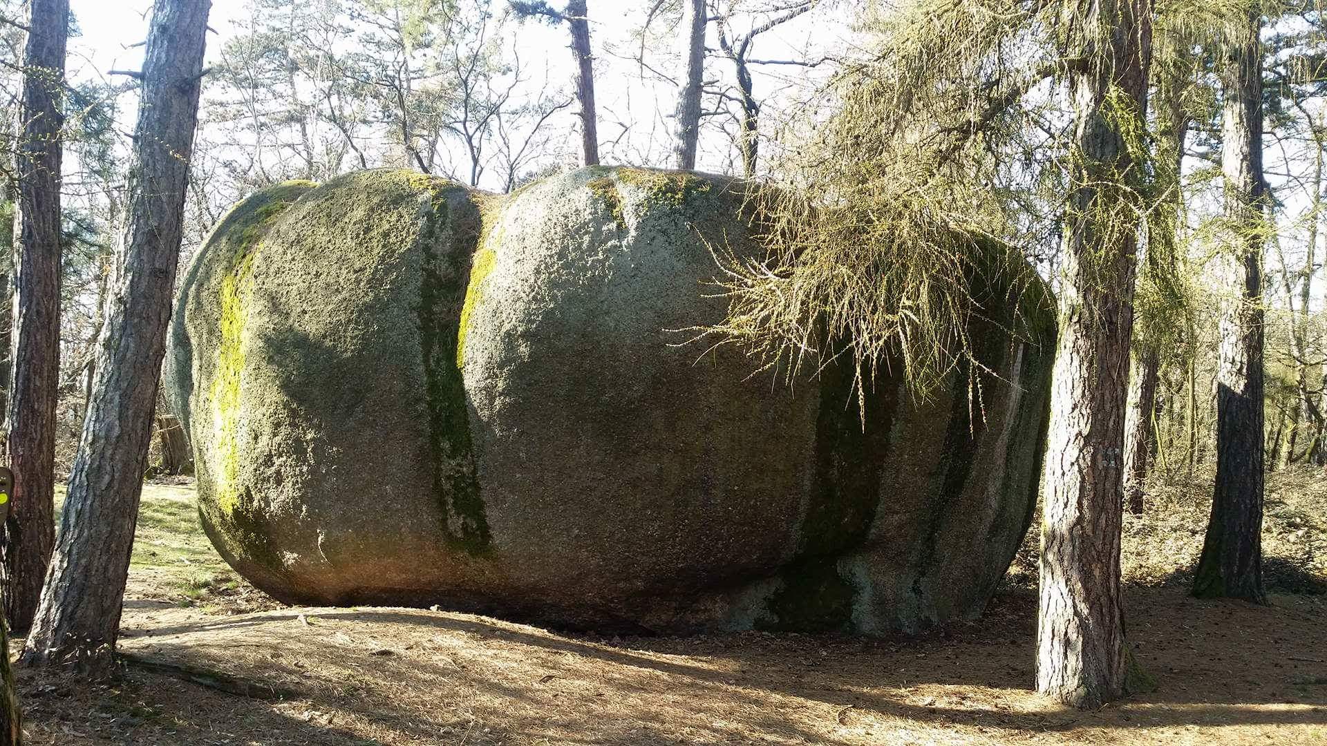 Click to close image, click and drag to move. Use arrow keys for next and previous.