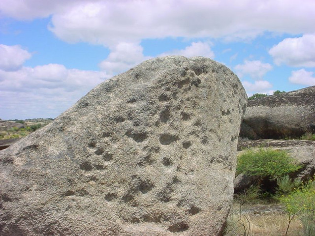 U3336-Taffonis-2-JPG