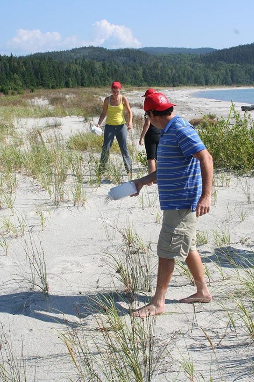 Lakehead University students sow Pitcher’s Thistle seeds in hopes of creating a new colony at Oiseau Bay (© Parks Canada)