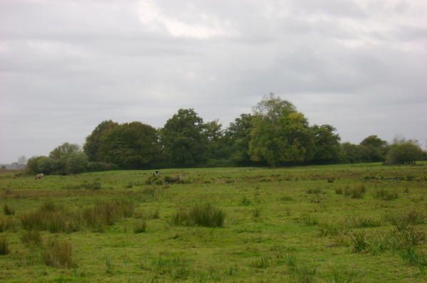 cet îlot de verdure ( jadis le château Lorieuc)