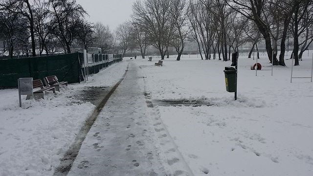 Zima v psom parku Petržalka