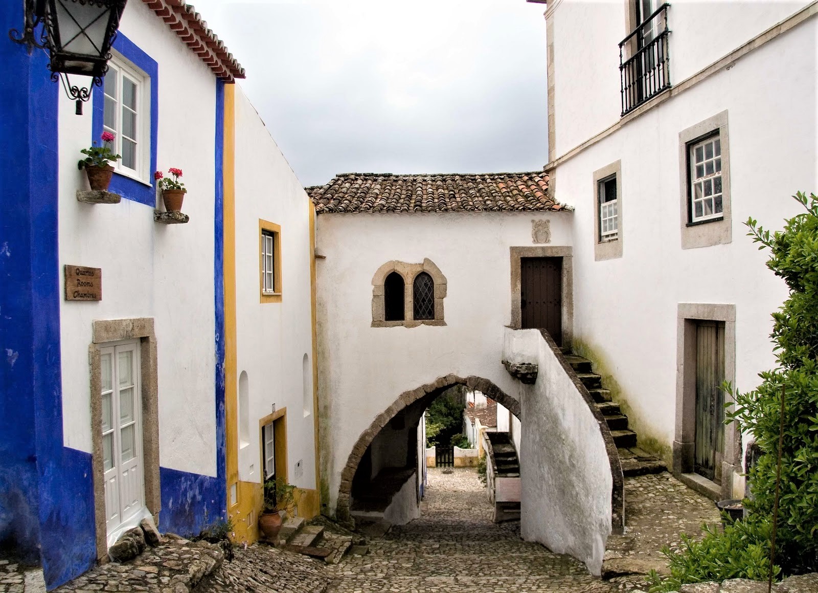 calobidos