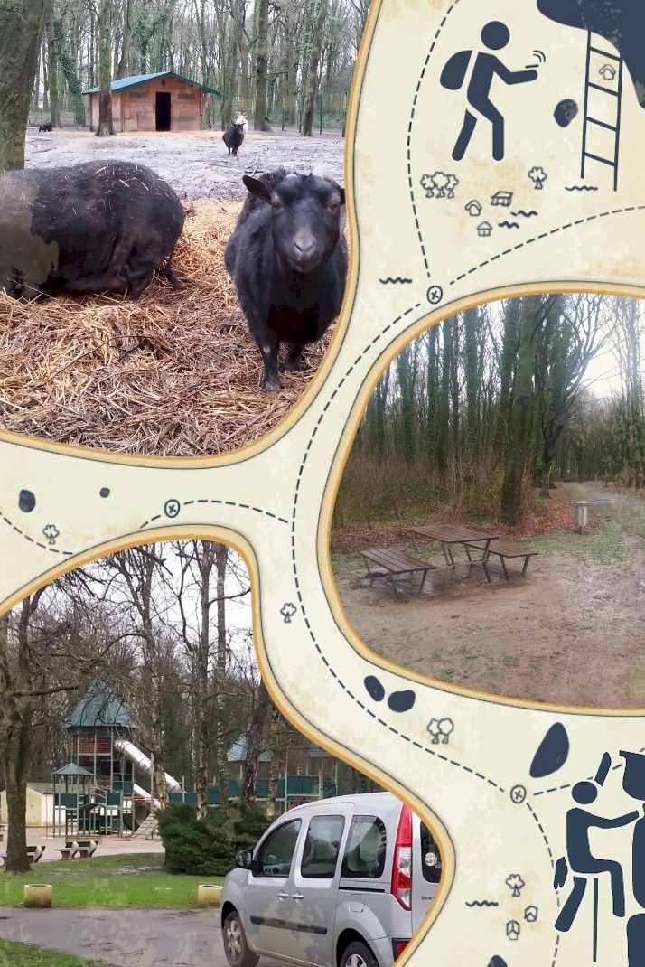 Bois de Saint Pierre. La 💯ème !