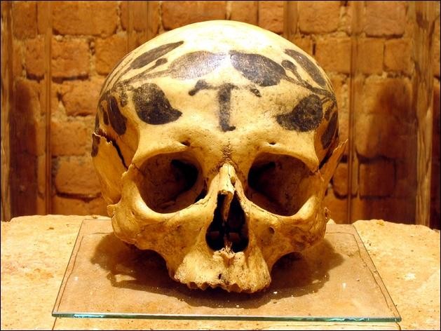 Kostnice lebka s vavřínovými listy