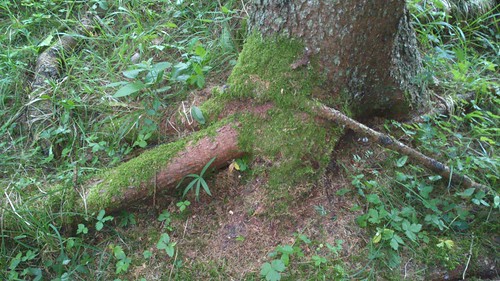 caches laquerez (15)