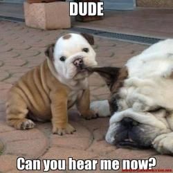 photo DE334930-4338-4D15-BC8F-57AC7D89D7CA_zpsoelhdcdl.jpg