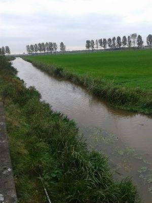  photo 0f2fe30b-5f1b-4a62-859d-7efbddcf0337_zps0c3c7402.jpg