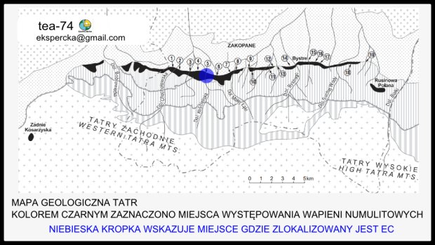Wapienie numulitowe w Tatrach Wapienie numulitowe w Tatrach