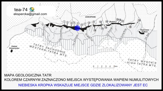 Wapienie numulitowe w Tatrach