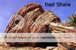Red Shale