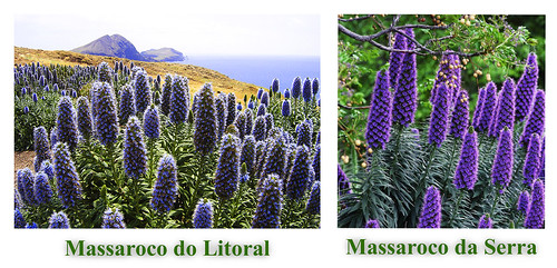 litoral e serra