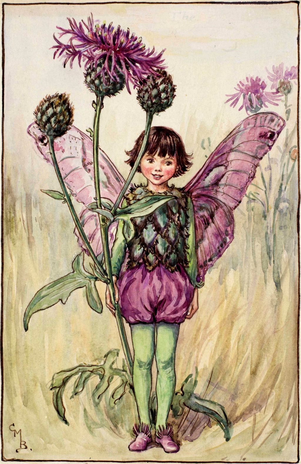 The Greated Knapweed Fairy