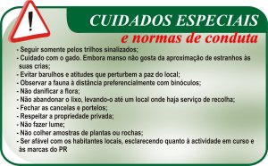 AQUI COLOCA O NOME DA FOTO