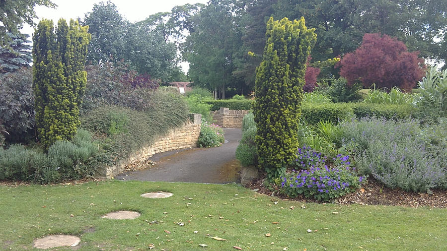 The Sensory Garden