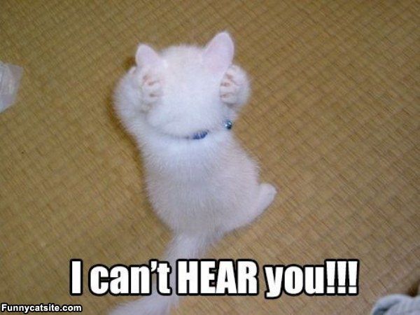 photo 4F05DC93-146A-4E14-9B46-EA4A634E5A10_zpszakanxof.jpg