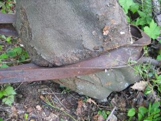 Baum mit Stahlträger