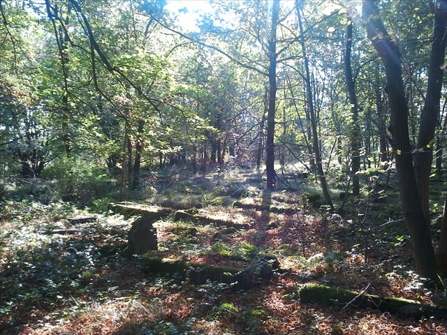 Friedhof Berge (Grabfeld)