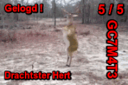 oie_Mi5h_M6d2_Ov_Qs