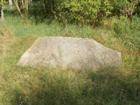 ohne Titel, Maria Fachini