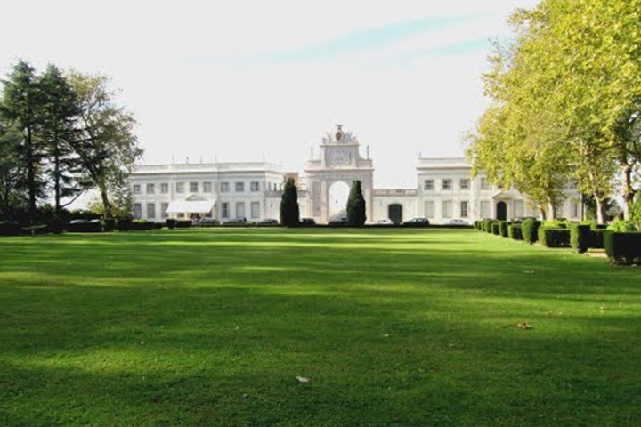 630px image