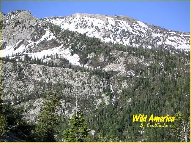 Image hosted by Photobucket.com