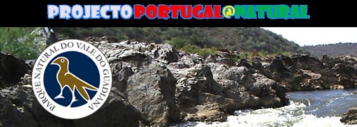 http://portugal_natural.blogs.sapo.pt/