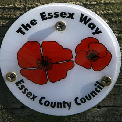 Essex Way Sign