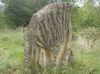 wissenschaftliche Darstellung, Rudolf J. Kaltenbach