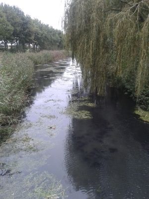  photo 1c77cf8f-5b3a-4159-abd5-c00e085d9821_zpsa4aaea14.jpg