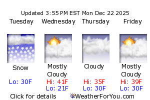 Vassar, Michigan, weather forecast