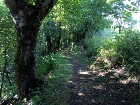 Chemin des Villards