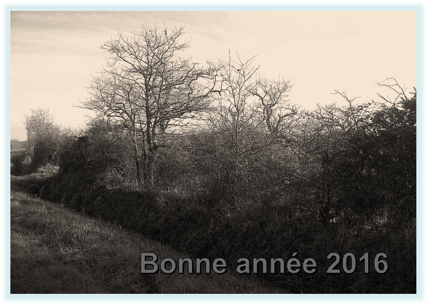non trouvée
