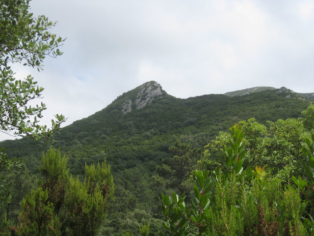 Castelo dos Mouros - Vertente Norte