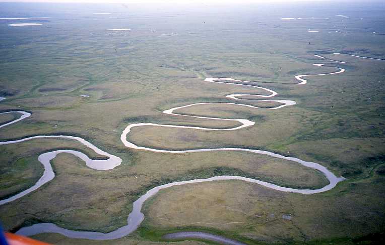 Aerial View of a Meandering River