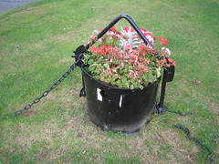 Skelton Model Kibble