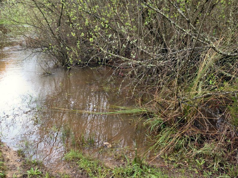  photo photo03_zps565c3afb.jpg