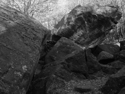 mx_bw2_small.jpg - 33889 Bytes