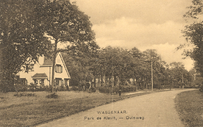 Prentbriefkaart De Kieviet