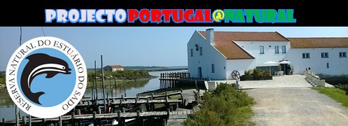 http://portugal_natural.blogs.sapo.pt/